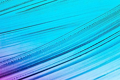 复古心理生存恐怖游戏《心丝虫》宣布跳票至2025年